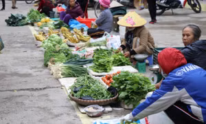 CPI tháng Một "nhảy múa" với áp lực từ dịch vụ y tế và Tết Nguyên đán