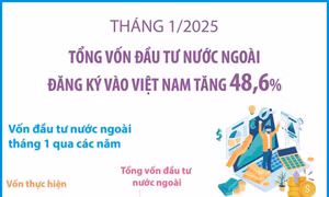 Tổng vốn đầu tư nước ngoài đăng ký vào Việt Nam tăng 48,6%