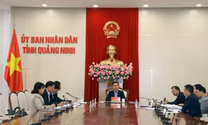 Thường trực Đảng ủy UBND tỉnh họp triển khai nhiệm vụ