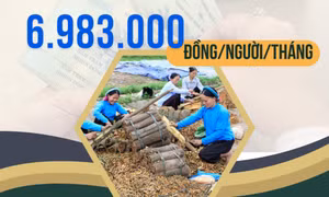 6.983.000 đồng/người/tháng - là mức thu nhập bình quân ở vùng đồng bào DTTS, miền núi, biên giới, hải đảo tỉnh Quảng Ninh năm 2024