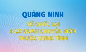 Quảng Ninh: Tổ chức lại 6 cơ quan chuyên môn thuộc UBND tỉnh