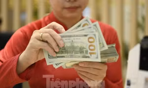 USD 'diễn biến lạ', Ngân hàng Nhà nước phản ứng thế nào?