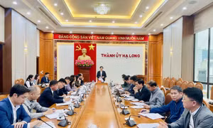 Hạ Long: Quyết tâm rút ngắn tiến độ triển khai các dự án và thời gian giải quyết thủ tục hành chính