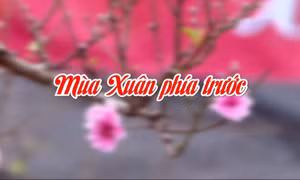 Mùa xuân phía trước
