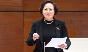 Bộ trưởng Nội vụ mong đại biểu ủng hộ mô hình chính quyền địa phương có HĐND, UBND