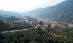 Thông Châu mùa xuân về