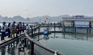 Chuyển đổi số trong nông nghiệp