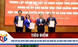 Công bố quyết định của Ban Chấp hành Đảng bộ tỉnh về việc thành lập các đảng bộ trực thuộc tỉnh