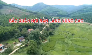 Sắc xuân nơi bản làng vùng cao