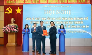 Cẩm Phả: Tinh gọn tổ chức bộ máy, nâng cao hiệu quả hoạt động