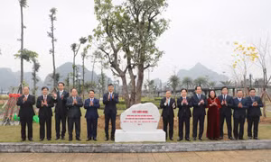 Trồng cây hữu nghị Việt Nam - Trung Quốc tại Công viên Hoa Hạ Long