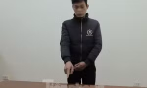 Vào đền thiêng trộm tiền lễ, bị bắt tại trận