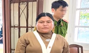 Người phụ nữ buôn bán gạo lừa đảo, chiếm đoạt 35 tỉ đồng