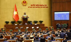 Quốc hội thống nhất sửa 'kỳ họp bất thường' thành 'kỳ họp không thường lệ'