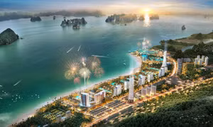 Bản tin Quảng Ninh ngày 16/2/2025