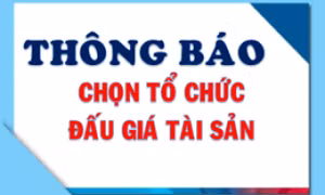 Thông báo về việc lựa chọn tổ chức hành nghề đấu giá tài sản