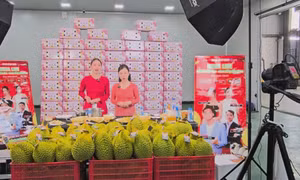 Bán hàng online không còn dành cho tay ngang!