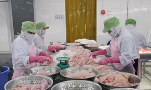 Xuất khẩu cá tra kỳ vọng tăng trưởng 5-10%