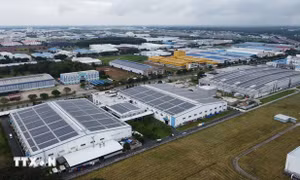 Nguồn vốn đầu tư trực tiếp nước ngoài “tạo lực” cho tăng trưởng kinh tế