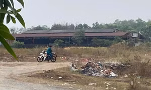Tài xế xe công nghệ bị đâm sau lưng, cướp xe SH và điện thoại