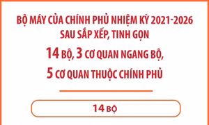 Bộ máy của Chính phủ nhiệm kỳ 2021-2026 sau sắp xếp, tinh gọn