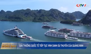 Giải thưởng quốc tế tiếp tục vinh danh du thuyền của Quảng Ninh