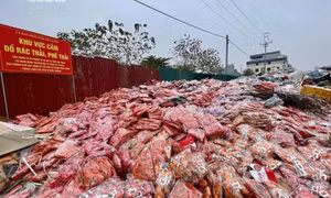 Kinh hoàng cảnh núi bánh kẹo 'lạ' bị xả thải giữa làng ngay sau Tết Nguyên đán