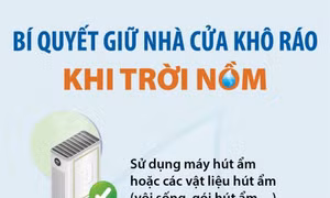 Bí quyết giữ nhà cửa khô ráo khi trời nồm ẩm