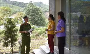 Chủ động tham gia phòng ngừa, tố giác tội phạm
