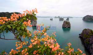 Thêm vẻ đẹp cho Vịnh Hạ Long