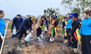 Tết trồng cây - Xây ước mơ xanh
