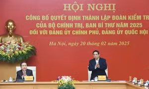 Công bố Quyết định thành lập Đoàn kiểm tra đối với Đảng ủy Chính phủ, Đảng ủy Quốc hội