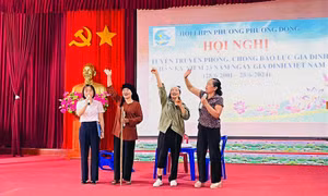 Phòng chống bạo lực gia đình