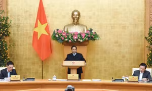 Bắt tay ngay vào thực hiện nhiệm vụ từ những ngày đầu Xuân mới, quyết tâm hoàn thành mục tiêu cả năm 2025
