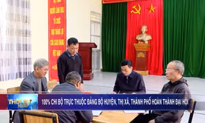 100% chi bộ trực thuộc đảng bộ huyện, thị, thành phố hoàn thành Đại hội