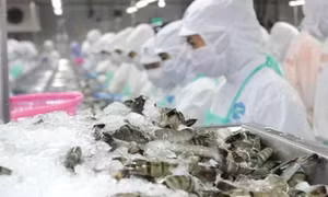 Tháng 1/2025, xuất khẩu thủy sản sang Trung Quốc tăng 80,8%