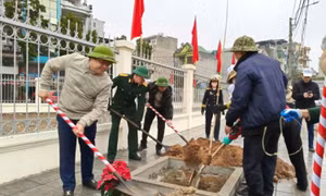 TP Hạ Long: Nhiều công trình, phần việc thiết thực chào mừng ngày hội lớn