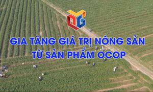Gia tăng giá trị nông sản từ sản phẩm OCOP