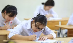 Nhiều trường đại học đưa môn Tin vào tổ hợp xét tuyển 2025