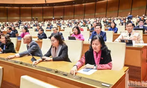 Quốc hội thông qua cơ chế, chính sách đặc biệt làm dự án điện hạt nhân Ninh Thuận