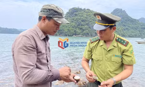 Mở rộng các khu bảo tồn biển