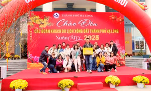 Vịnh Hạ Long - điểm đến an toàn