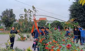 Lễ hội đình Lộ Phong