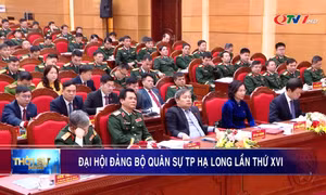 Đại hội Đảng bộ quân sự thành phố Hạ Long lần thứ XVI, nhiệm kỳ 2025-2030