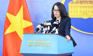 Việt Nam sẵn sàng hợp tác chặt chẽ với Hoa Kỳ để nhận trở lại công dân