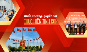 Khẩn trương, quyết liệt thực hiện tinh gọn