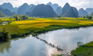 Vạn dặm xanh dọc miền đất nước