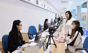 Nỗ lực, quyết tâm cao ngay từ đầu Xuân 