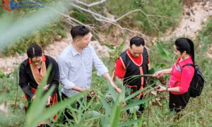 Nữ doanh nhân đam mê làm OCOP