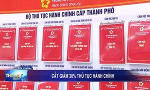 Cắt giảm 30% thủ tục hành chính